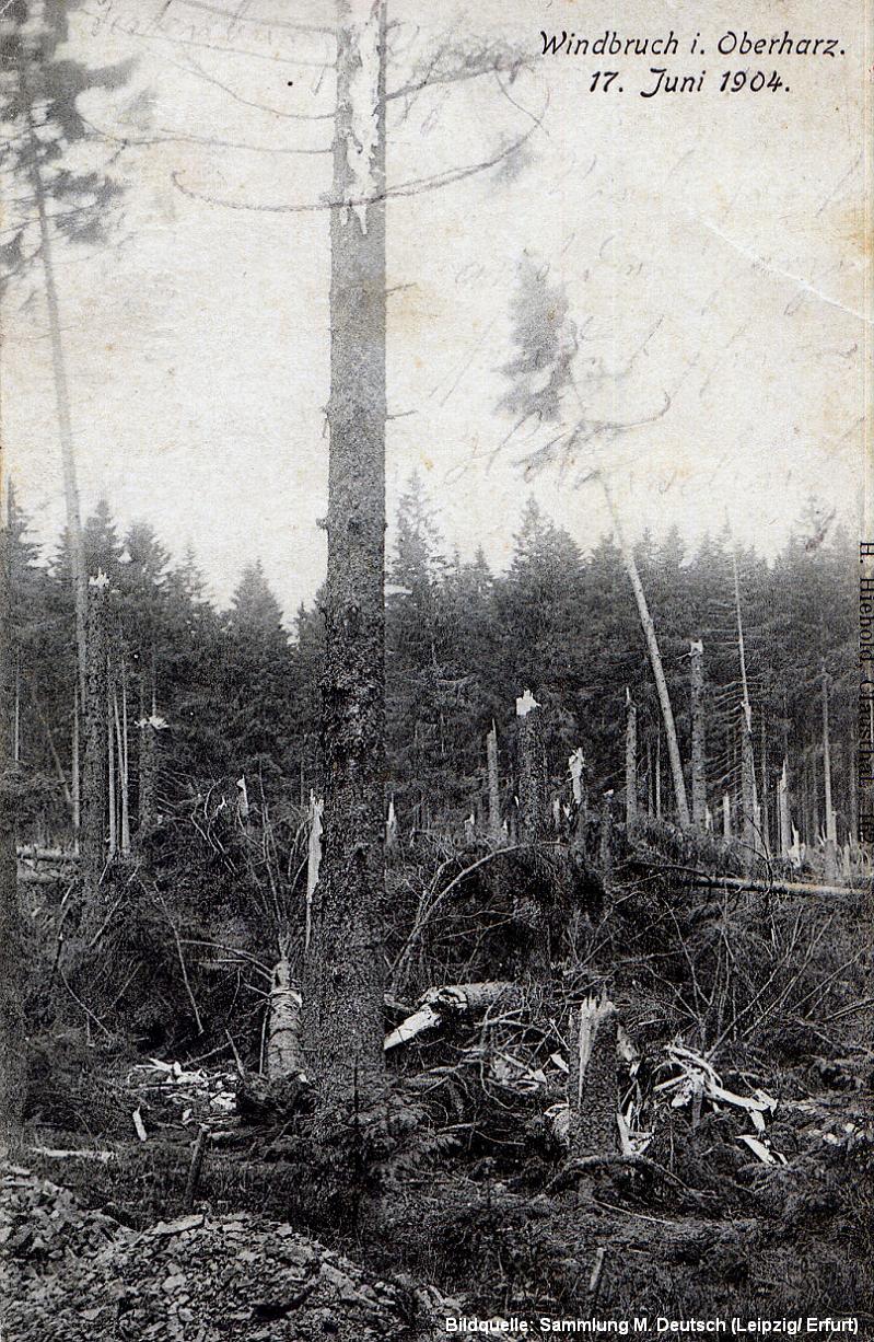 Oberharz 1