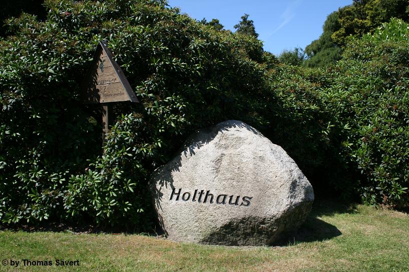 Holthaus 1