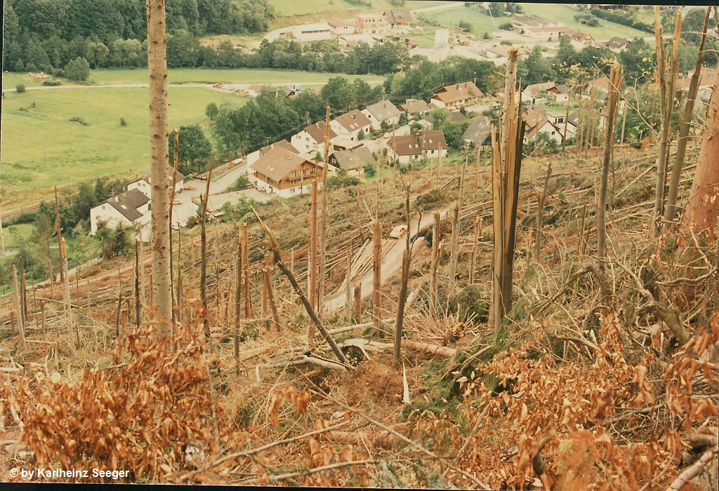 Calmbach 17