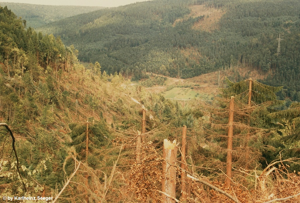 Calmbach 19
