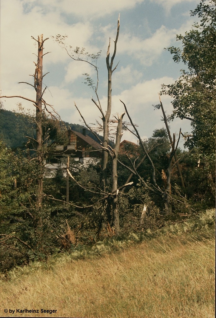 Calmbach 4