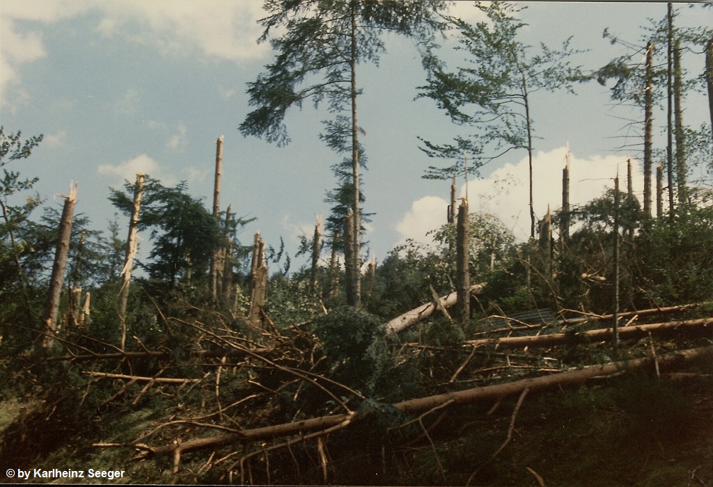 Calmbach 5
