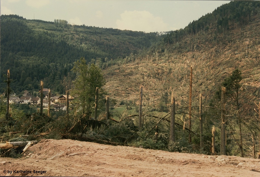 Calmbach 6