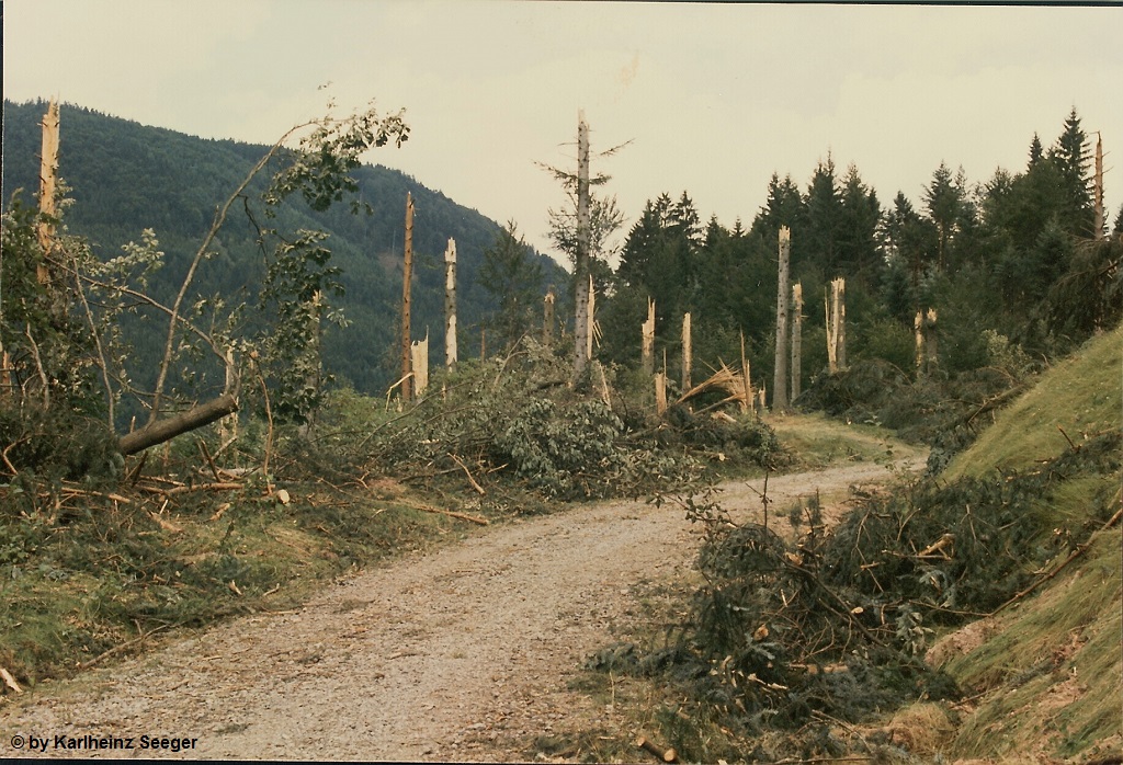 Calmbach 7