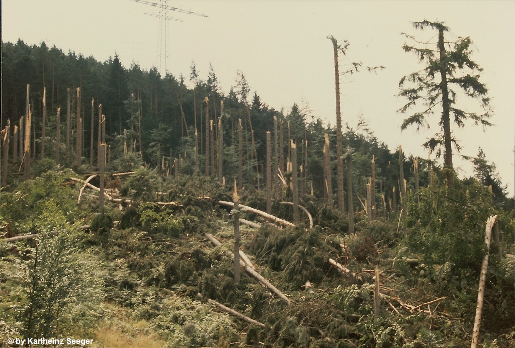 Calmbach 9