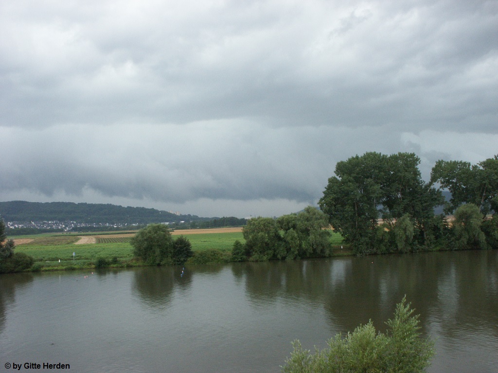 Schweich 4