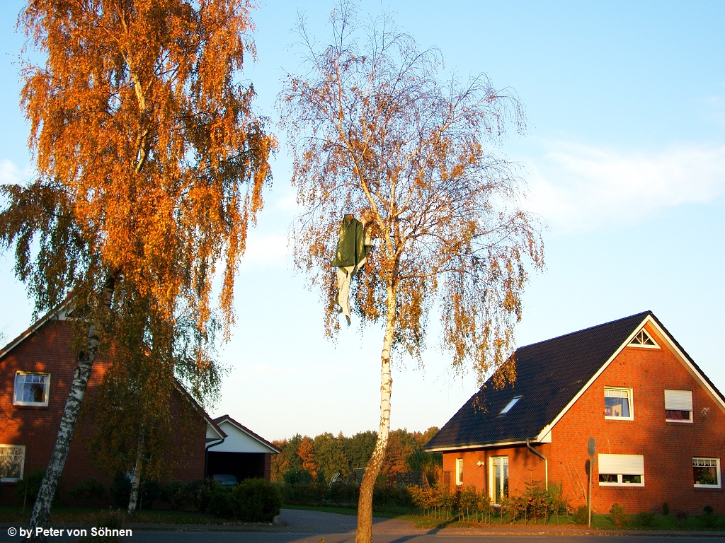Bremerv�rde 8