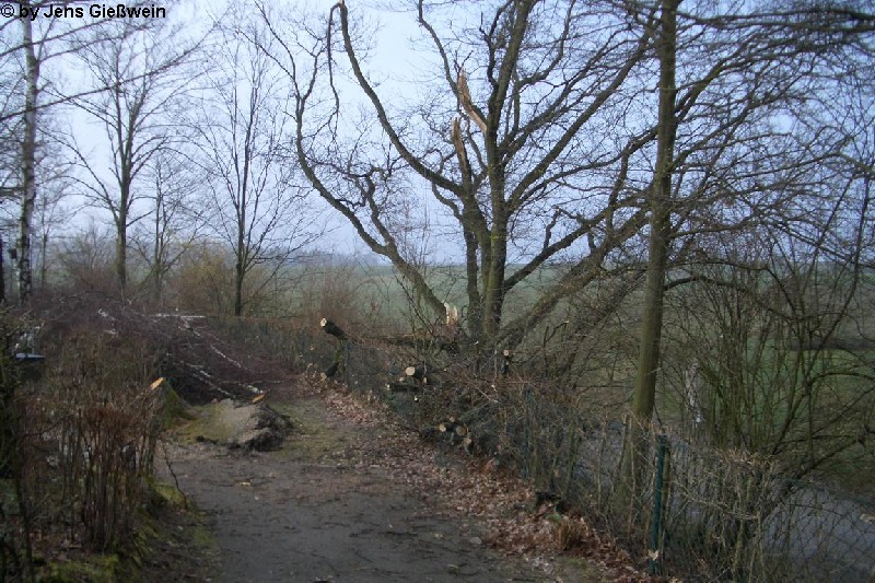 Kalchreuth 10