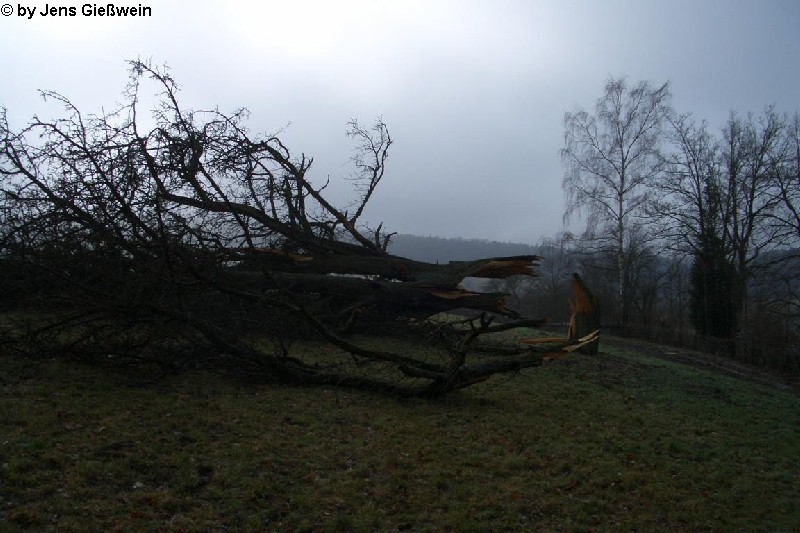 Kalchreuth 19
