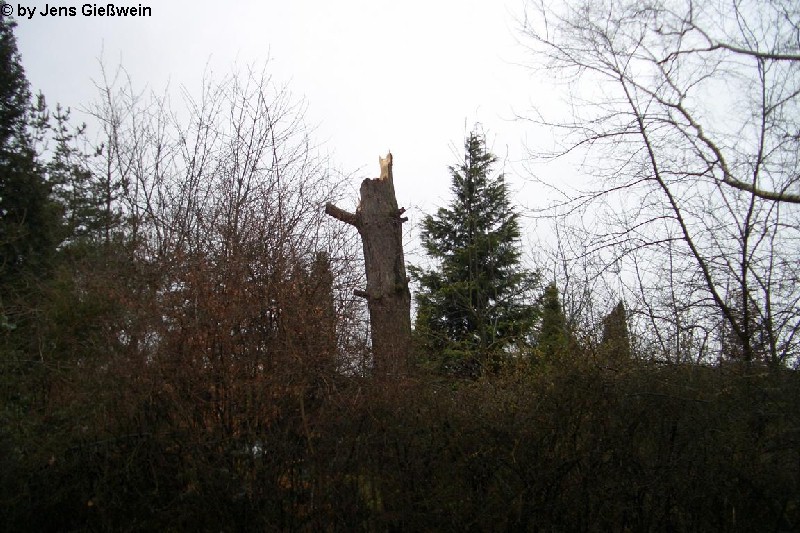 Kalchreuth 29