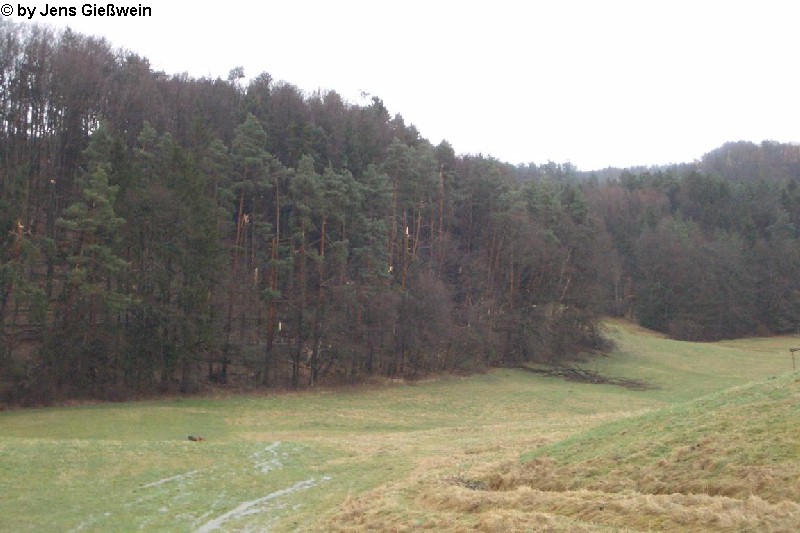 Kalchreuth 32