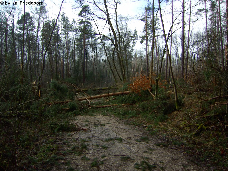 Kleingeschaidt 2
