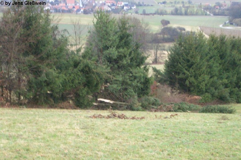 Tauchersreuth 1