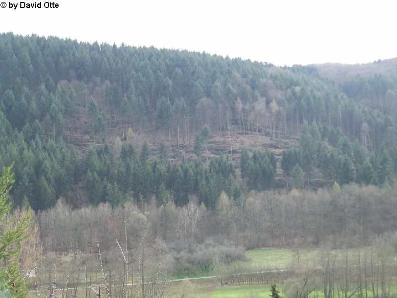 Werbach-Gamburg 1