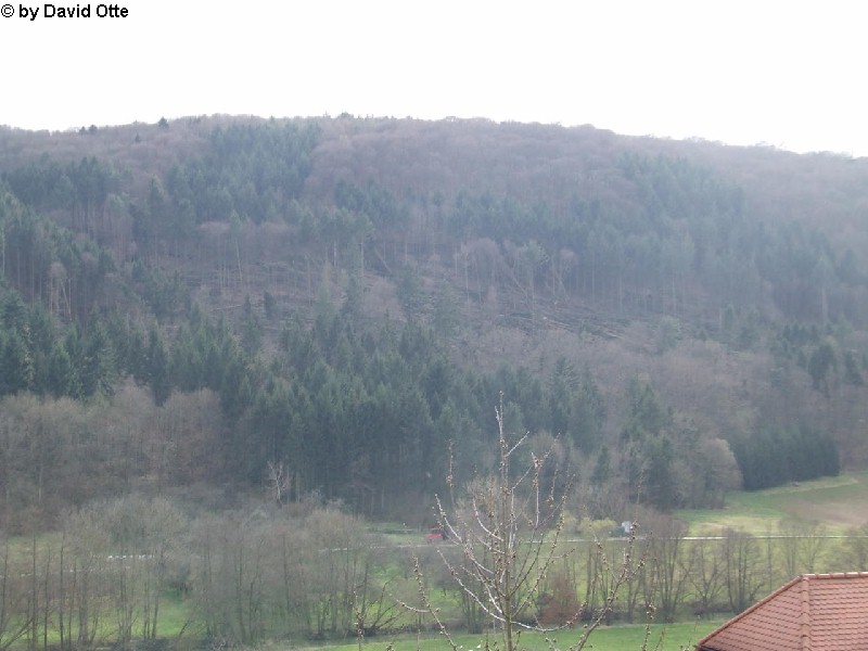 Werbach-Gamburg 2
