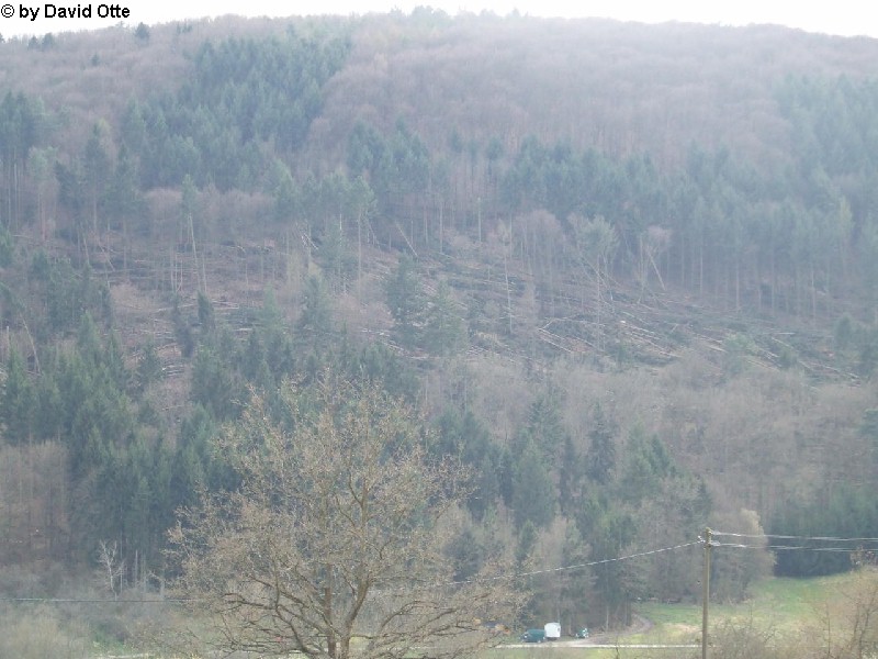 Werbach-Gamburg 4