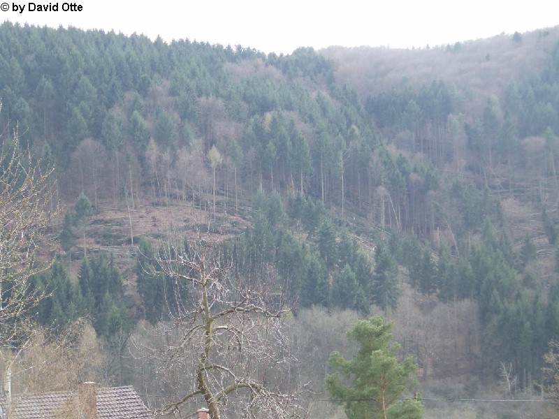 Werbach-Gamburg 5