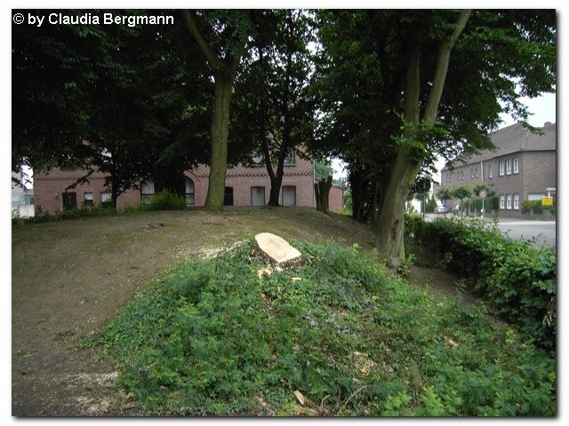 Holzweiler 2