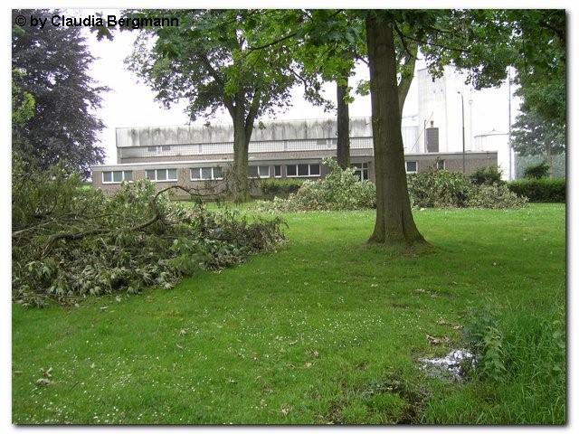 Holzweiler 5