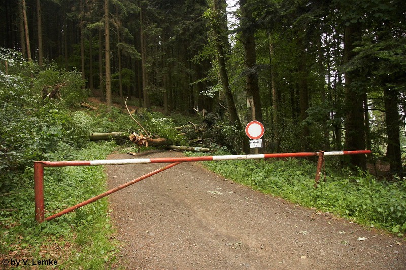 Bettenfeld 3