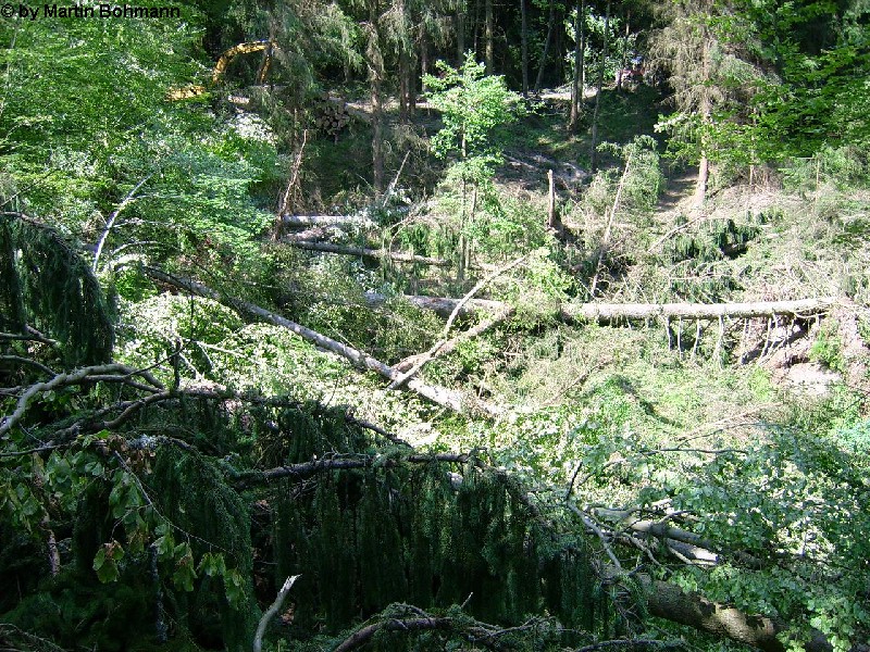 Falkenfels 11