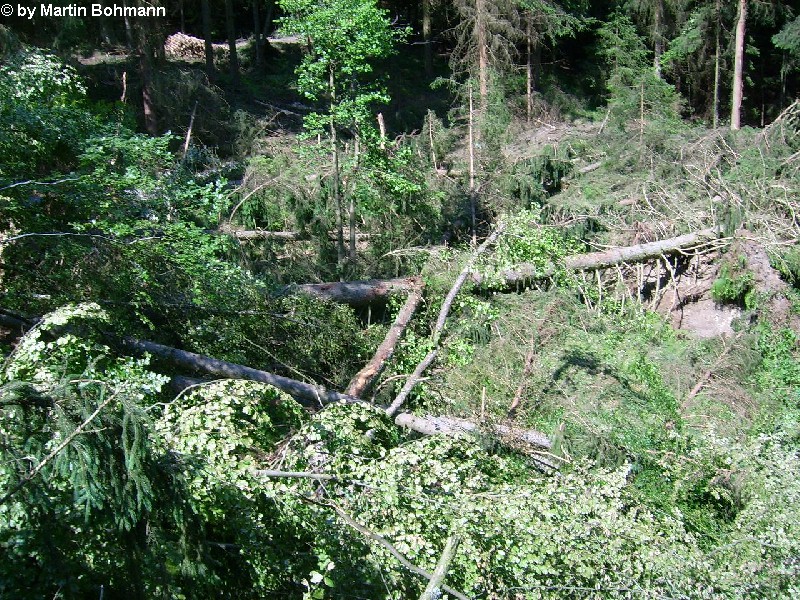 Falkenfels 17