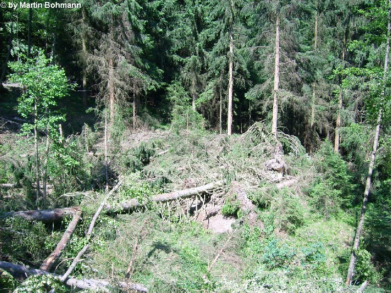 Falkenfels 23