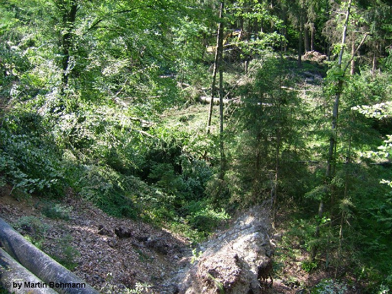 Falkenfels 29