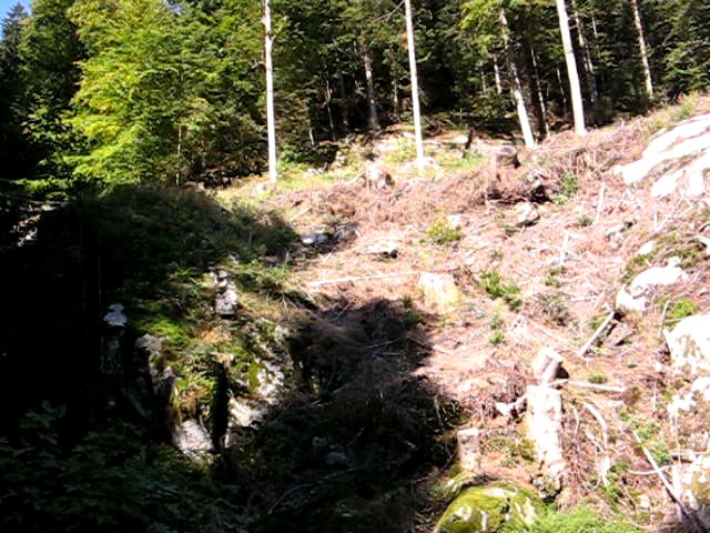 Triberg 2