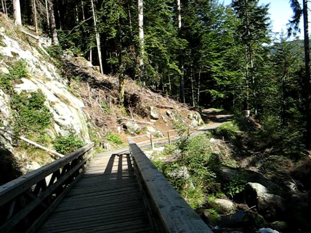 Triberg 5