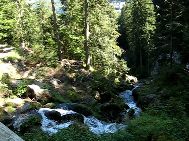 Triberg 6