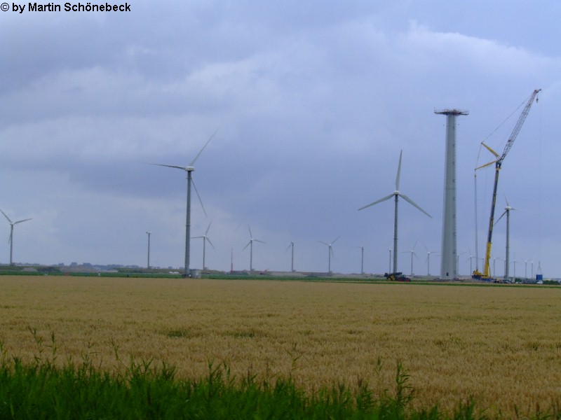 Eemshaven/Borkum 1