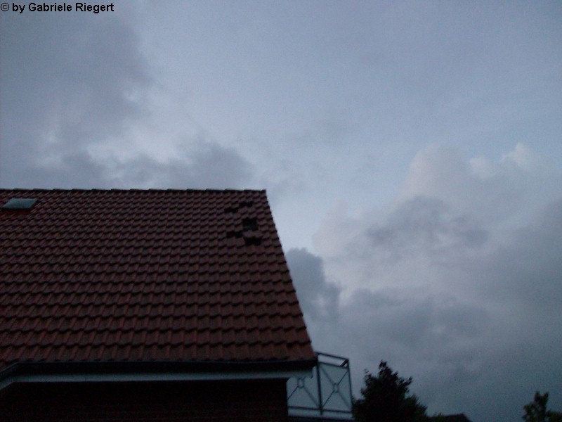 Heide 3