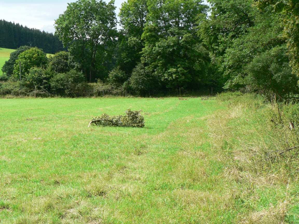 Nur kleinere Transporte am Wiedufer