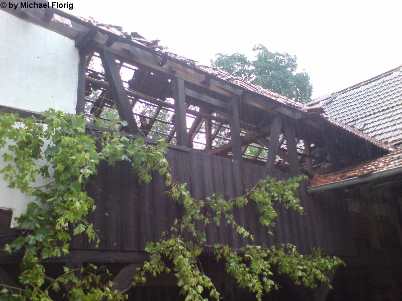 Birkenau 20