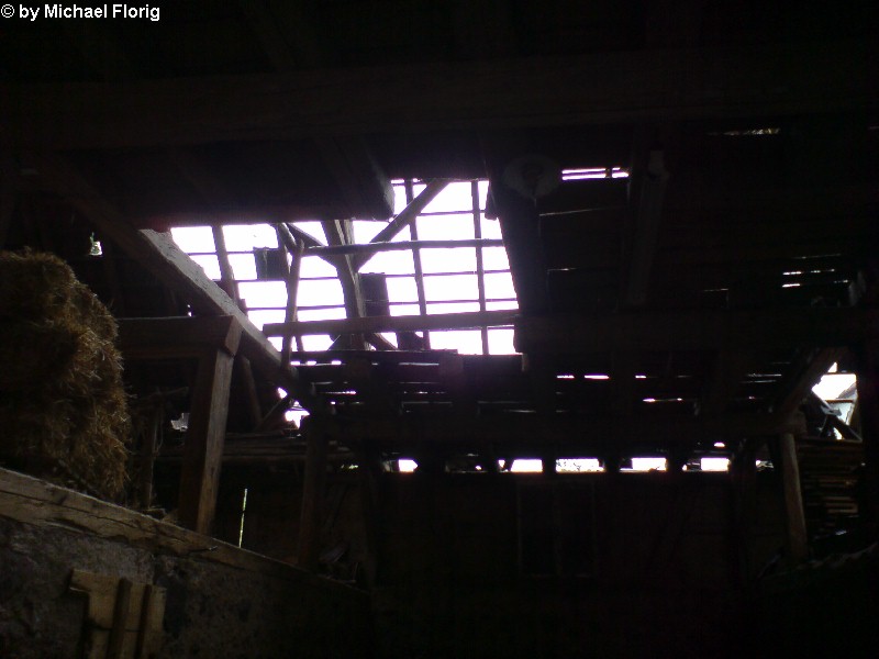 Birkenau 23