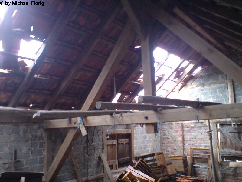 Birkenau 28
