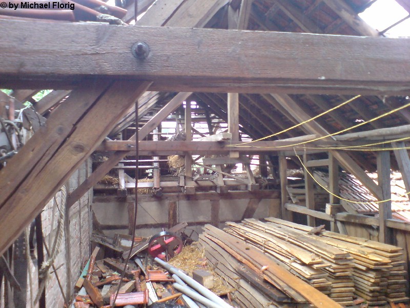 Birkenau 30
