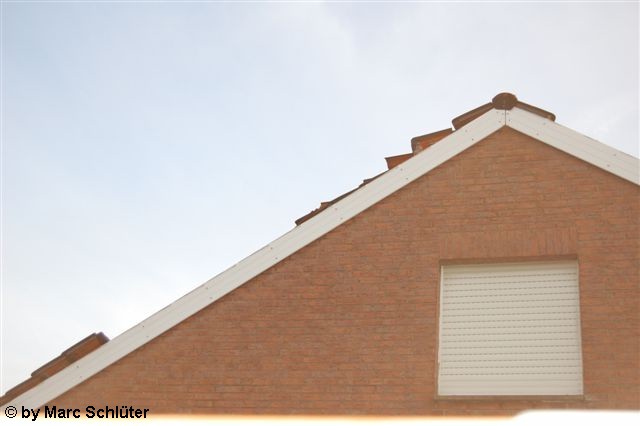 Freckenhorst 3