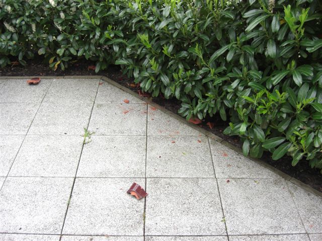 B�delsdorf 15