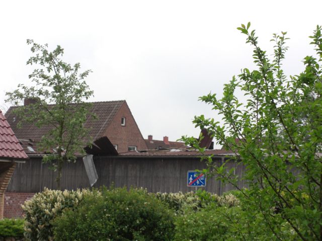 Bdelsdorf 16