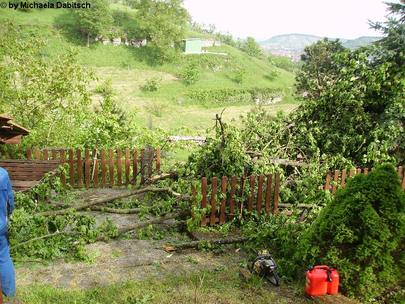Pfaffenhausen 17