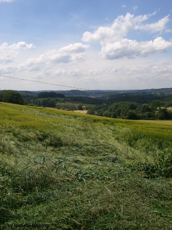 Witten-Herbede 2