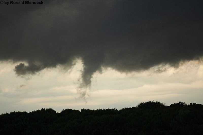 Herten 2