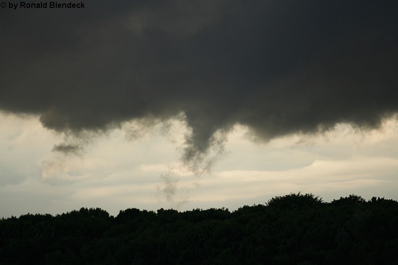 Herten 3