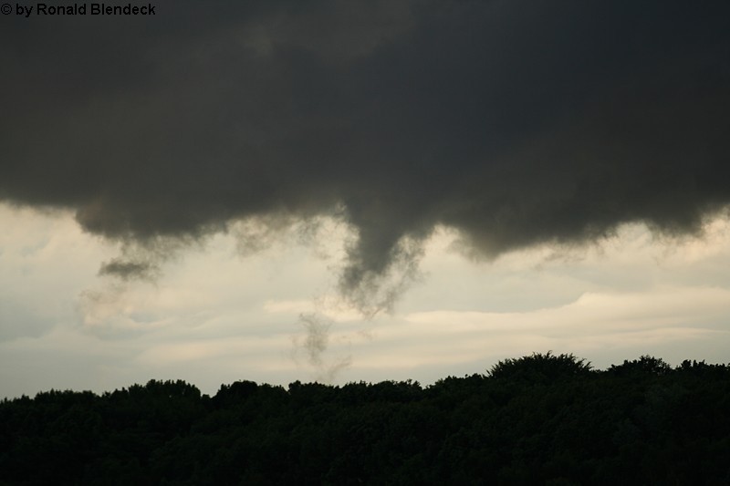 Herten 4