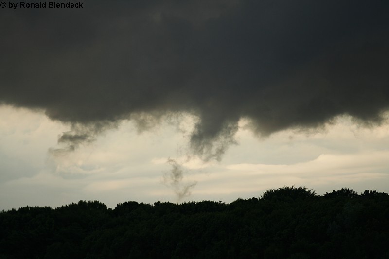 Herten 5