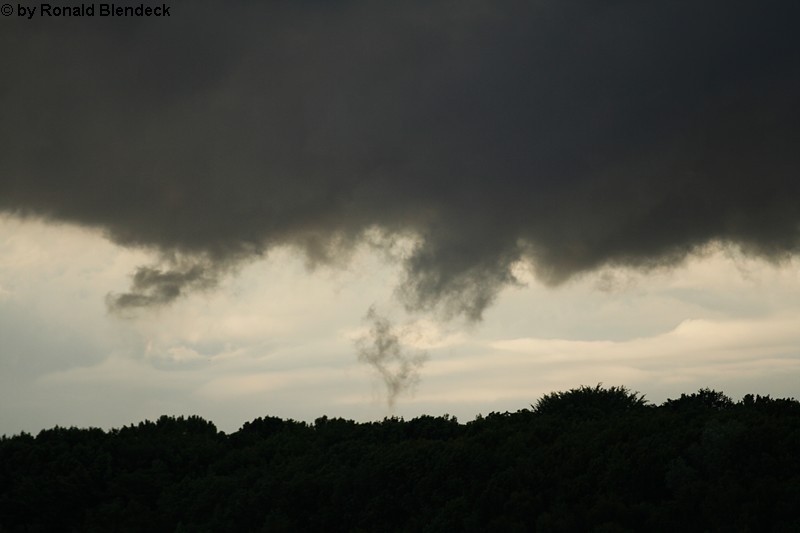 Herten 6