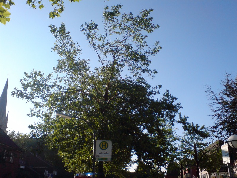 Suderwich L�lfstrasse 3