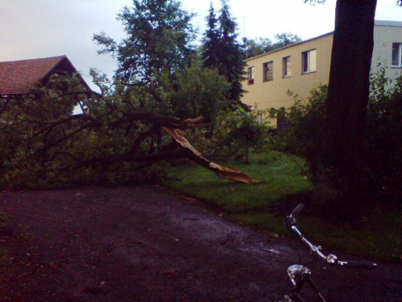 Suderwich Sachsenstrasse 2